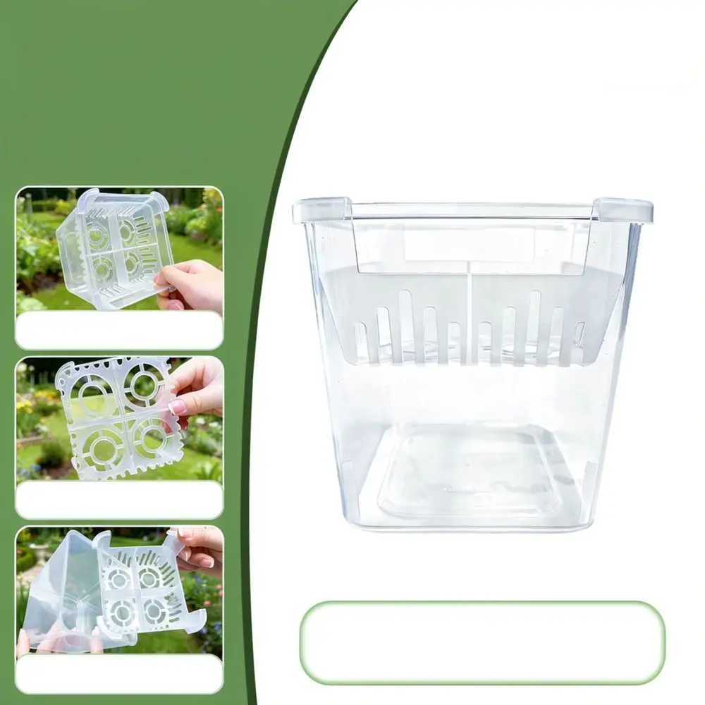 Hydroponic Vase For Tulip Lily Bulb Clear Plastic Planter With Planting Basket Breathable Modern Home Garden Pot