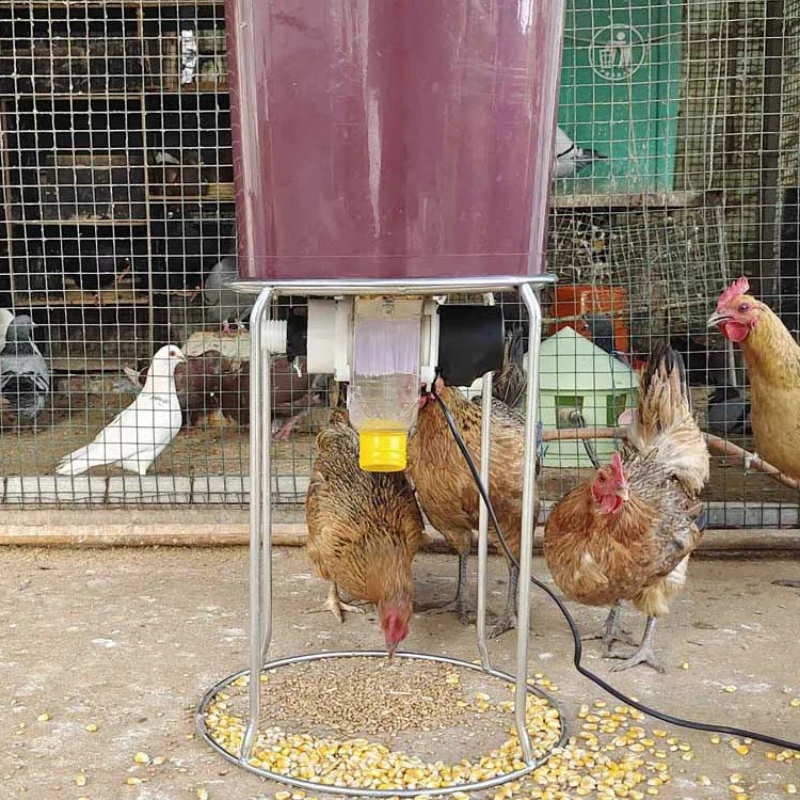 Automatic Chicken Feeder Pigeon Chicken Duck Carrier Pigeon Trough Intellegent Timing Automatic Chicken Feeder Pigeon Supplies