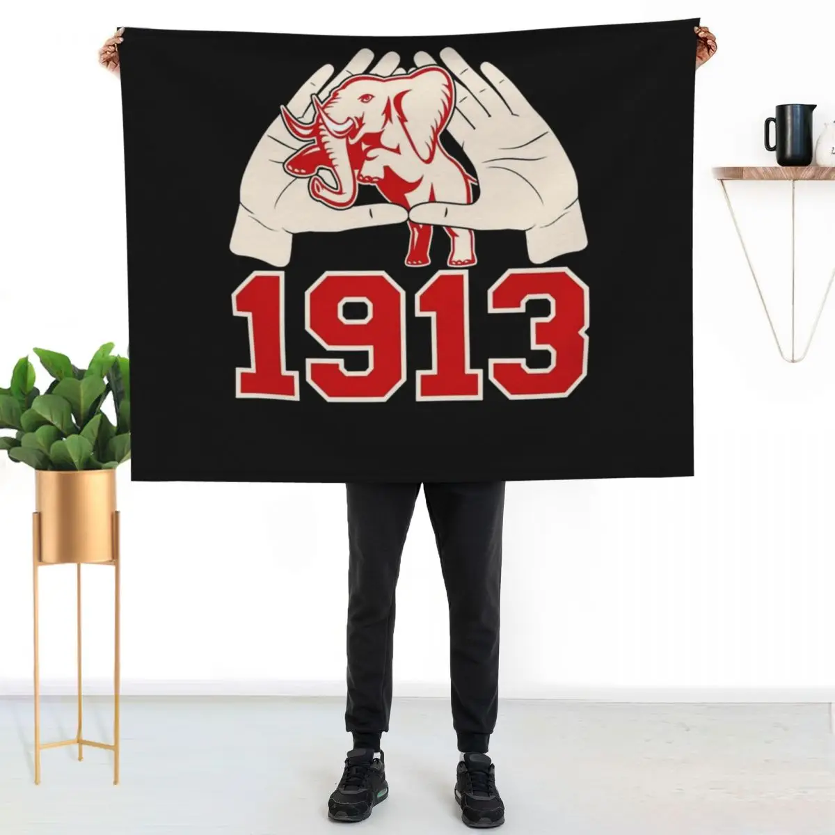 Delta 1913 Sigma Theta For Fans Throw Blanket Lightweight Warm Blanket for Travel Camping