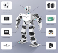 Raspberry Pi humanoid robot AI vision large model TonyPi bionic bipedal embodied intelligence Python programming