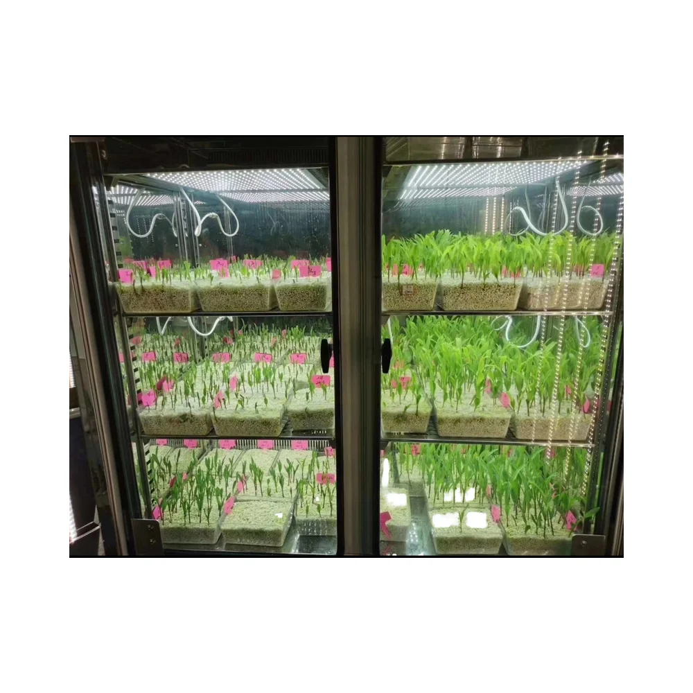 LIYI Plant Growth Chamber LCD Display Artificial Climate Box Germination Machine Incubator for Laboratory Use