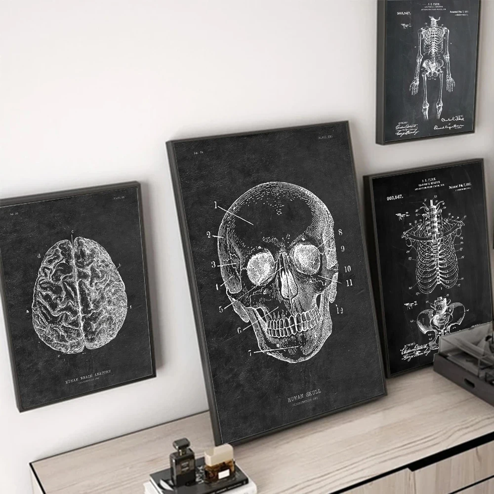 Organs Muscles Heart Hand Bones Frame Wall Art Posters Anatomy Classroom Laboratory Decor Canvas Painting Picture Prints Artwork