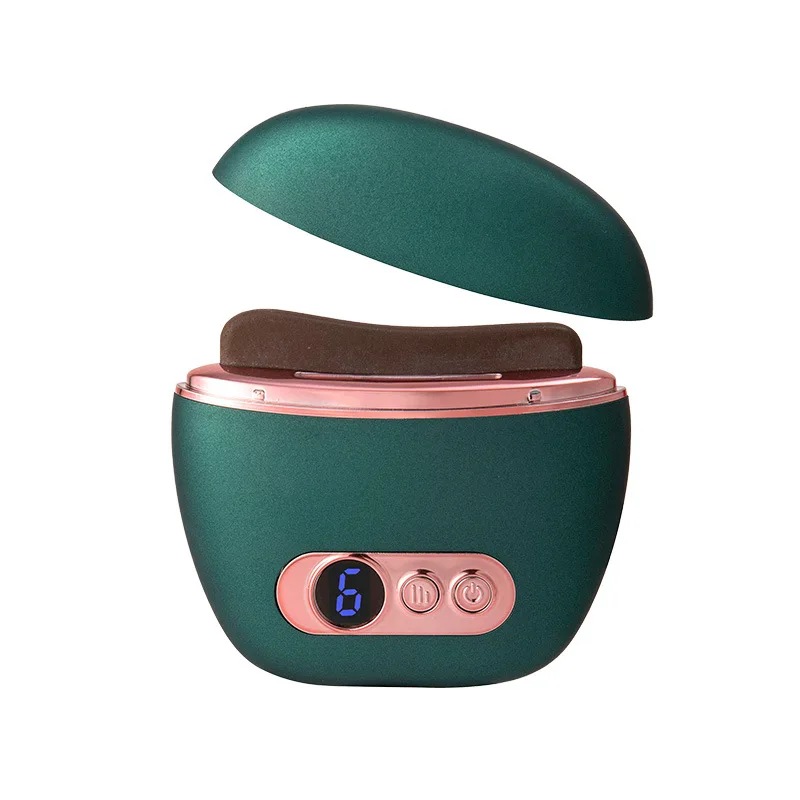 Electric Heating Stone Needle Scraping Plate Facial Massager Vibration Beauty Instrument