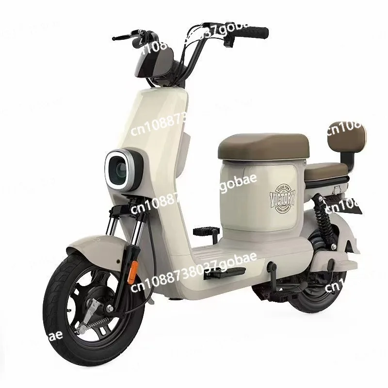 

Electric bicycle adult commuter two-wheeled flat car