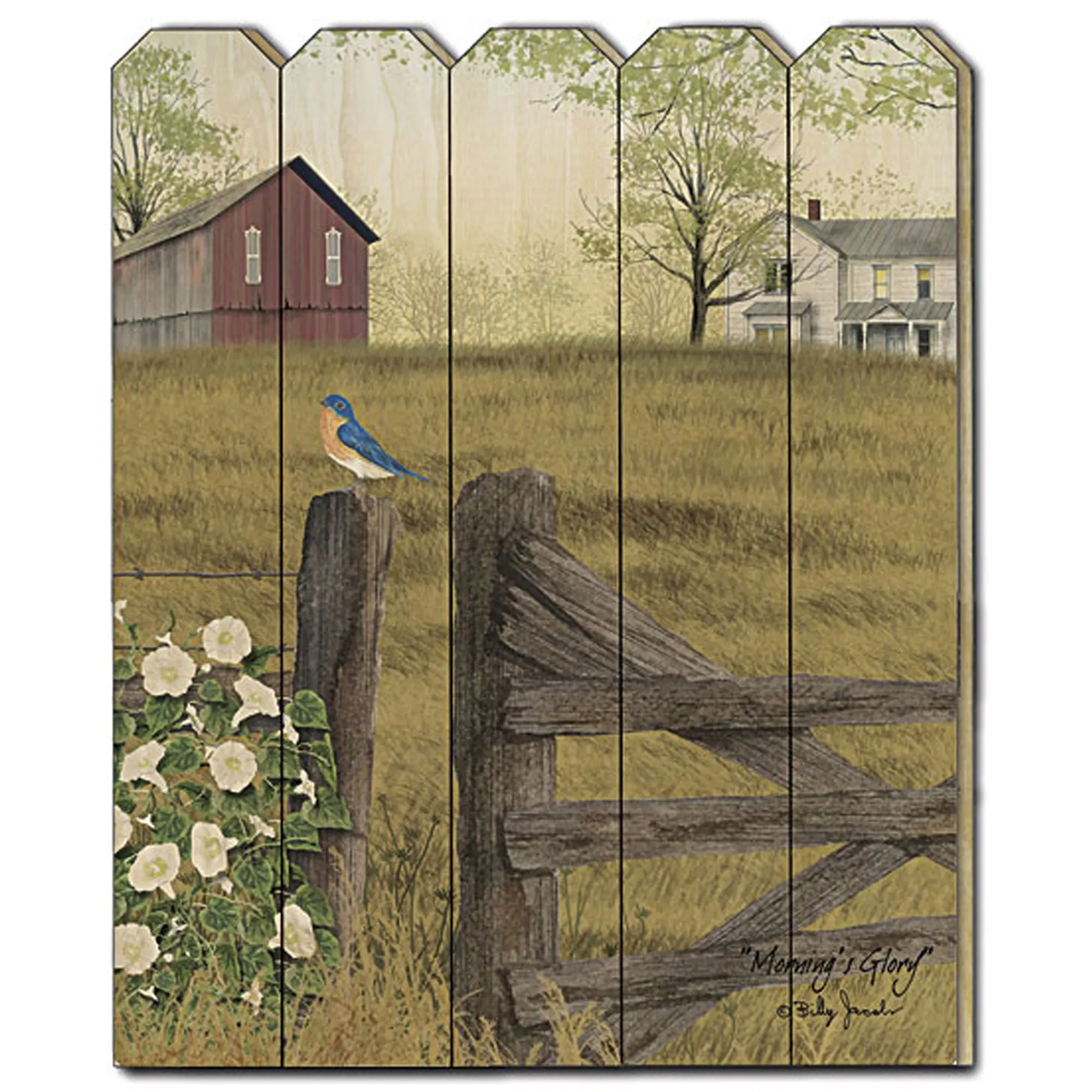 

"Mornings Glory" by Billy Jacobs, Printed Wall Art on a Wood Picket Fence