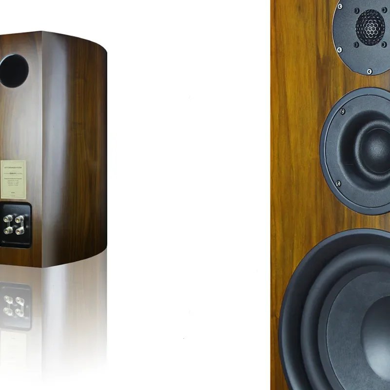 DHY-03 HiFi Bookshelf 10 Inch Speakers A Pair Of Home Floor Audio 10 Inch Woofer Passive Three-way