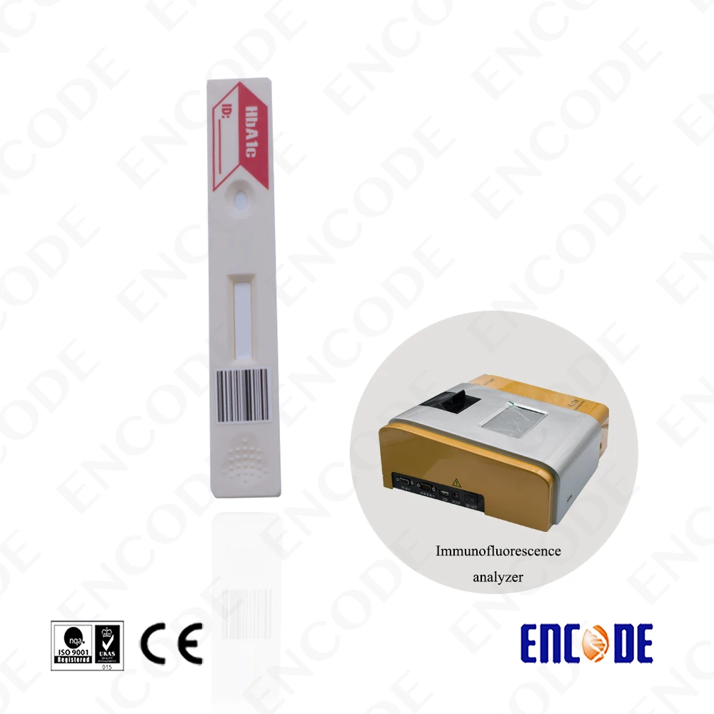 Quantitative immunoassay analyzer rapid test device T3 T4 Vitamin D