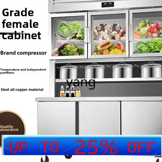 

ltt commercial wall-mounted freezer kitchen vertical countertop refrigerated display wall cabinet