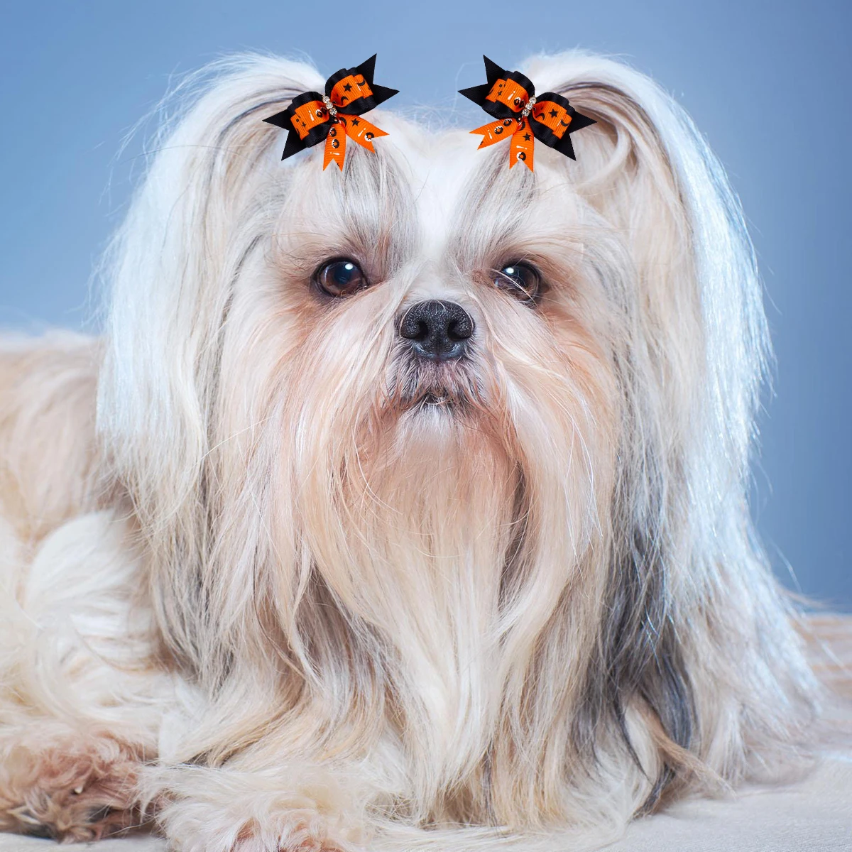 

10 Pcs Pet Headgear Headdress Dog Headwear Hair Flower Dog's Clothes Party Accessories for