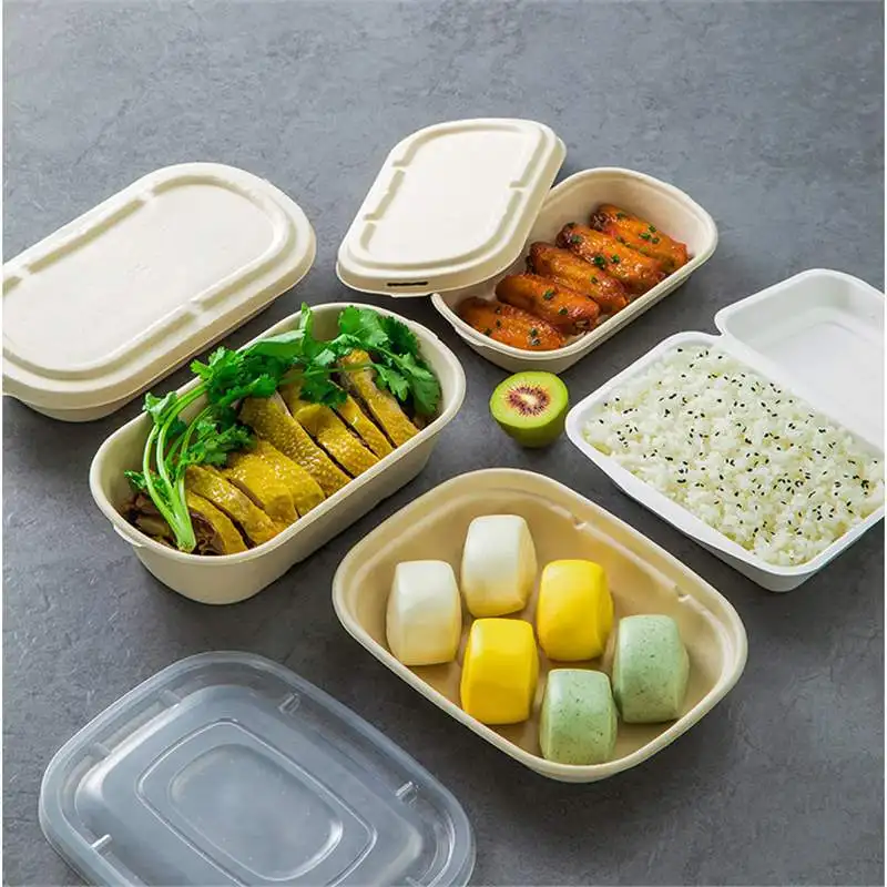 Custom Disposable Lunch Boxes Biodegradable Pulp Packing Boxes with Lids Bento Boxes Thickened Fruit Salad Boxes fo