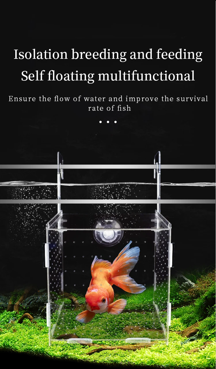 Hochtransparente Acryl-Fischisolationsbox, Mehrkammer-Kampffisch-Zuchtbox, Jungfisch-Brutkasten, Mehrzweck-Aquarium-Zucht- und Isolationsbox mit Saugnapf und Haken – Detail 3