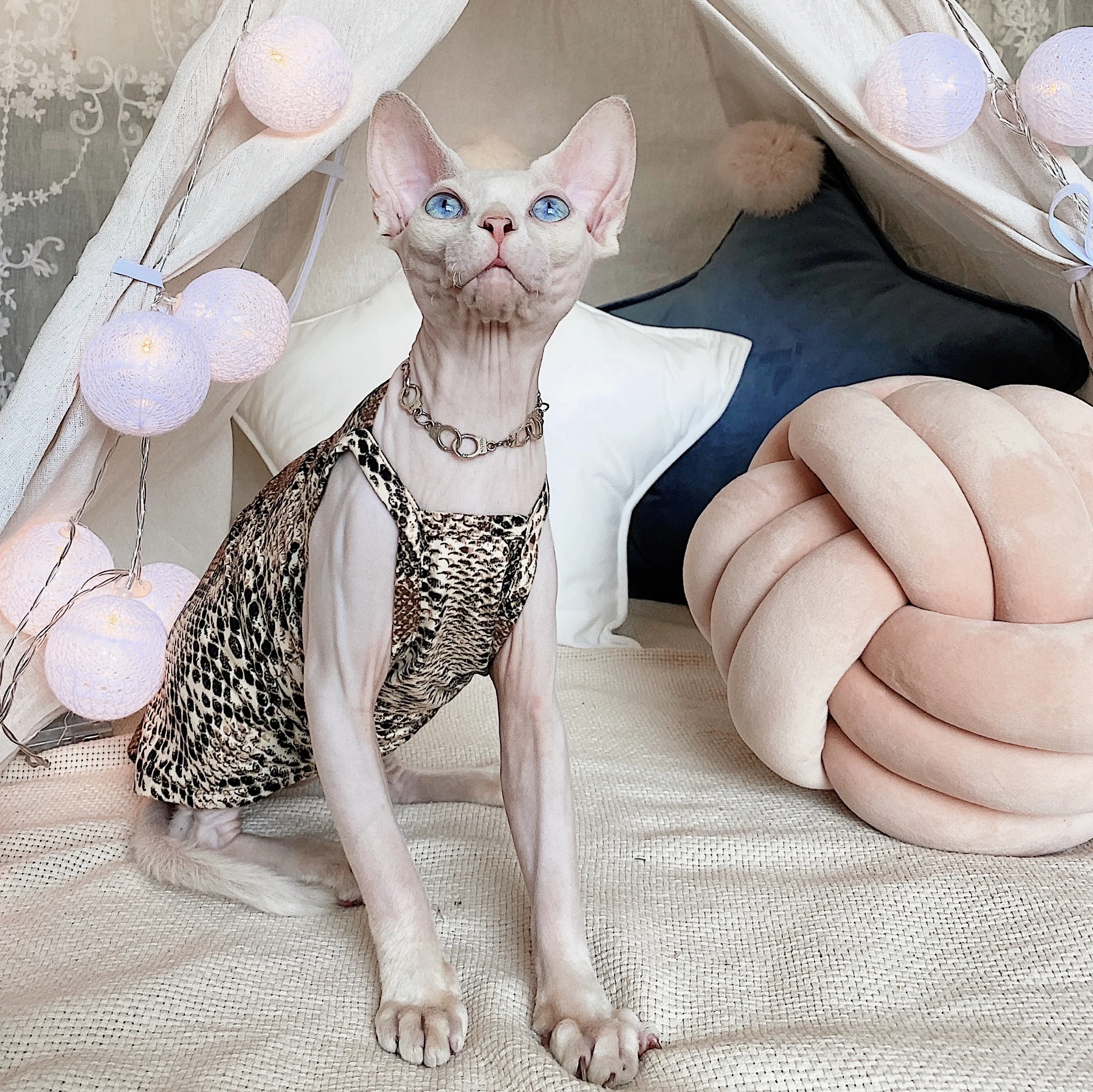 Modern Snakeskin T-shirt for Sphynx Cat Summer Soft Cartoon Sleeveless Vest for Kittens Fashion Spring Coat For Devon Rex