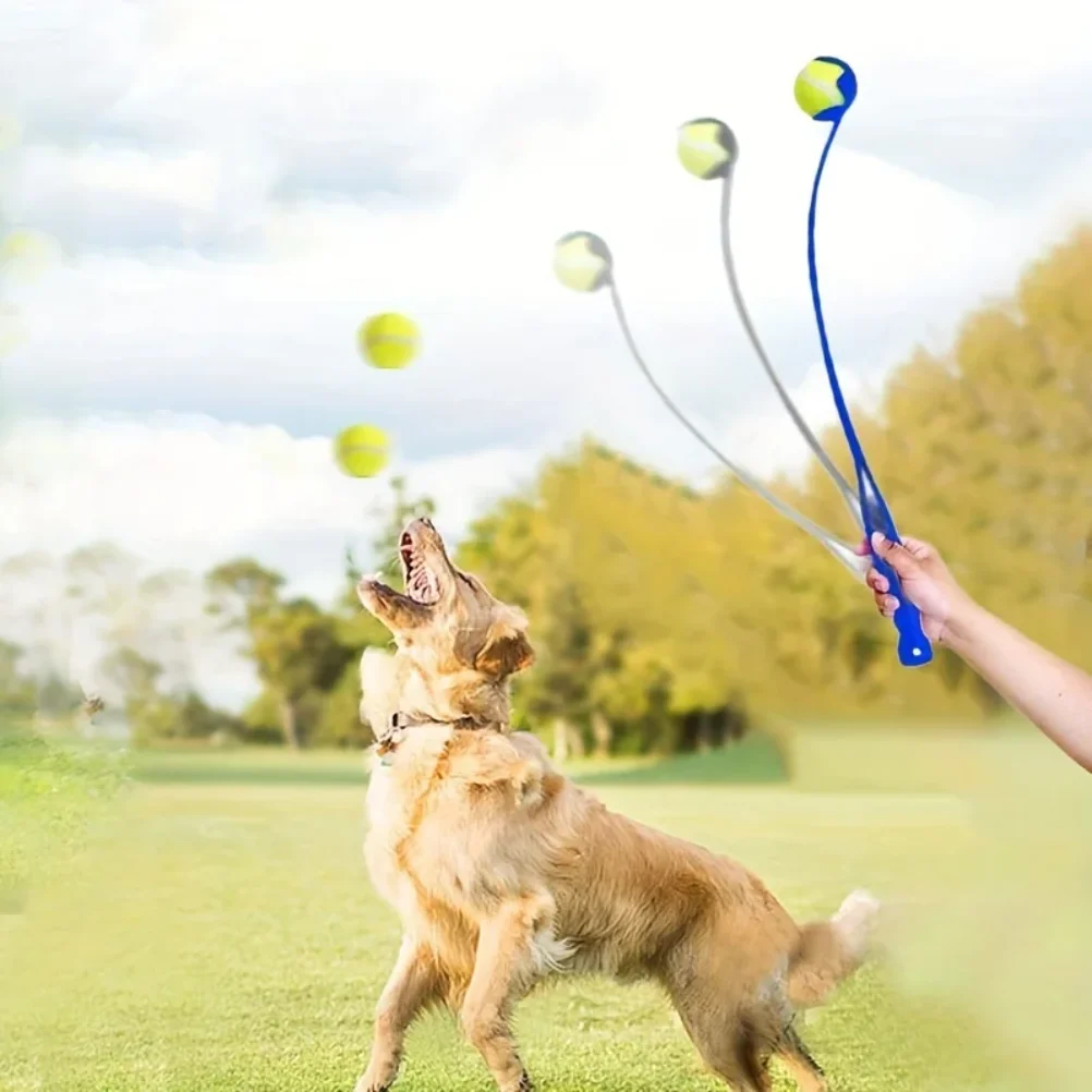 Pet Tennis Ball Lau…