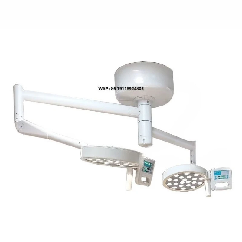 China Medical Equipment Supplier Double Dome Ceiling Mounted Surgical Light Emitting Diode Inspection Light