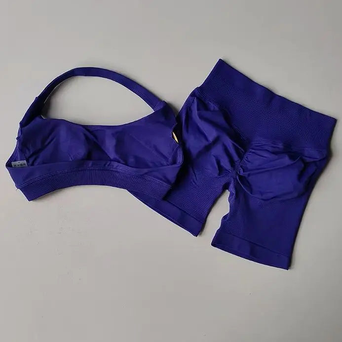 Women's High-Waisted Slim Yoga Set Sports Bra And Fitness Pants Two-Piece Set Neck Hanging Design Beautiful Back Gathering Suppo