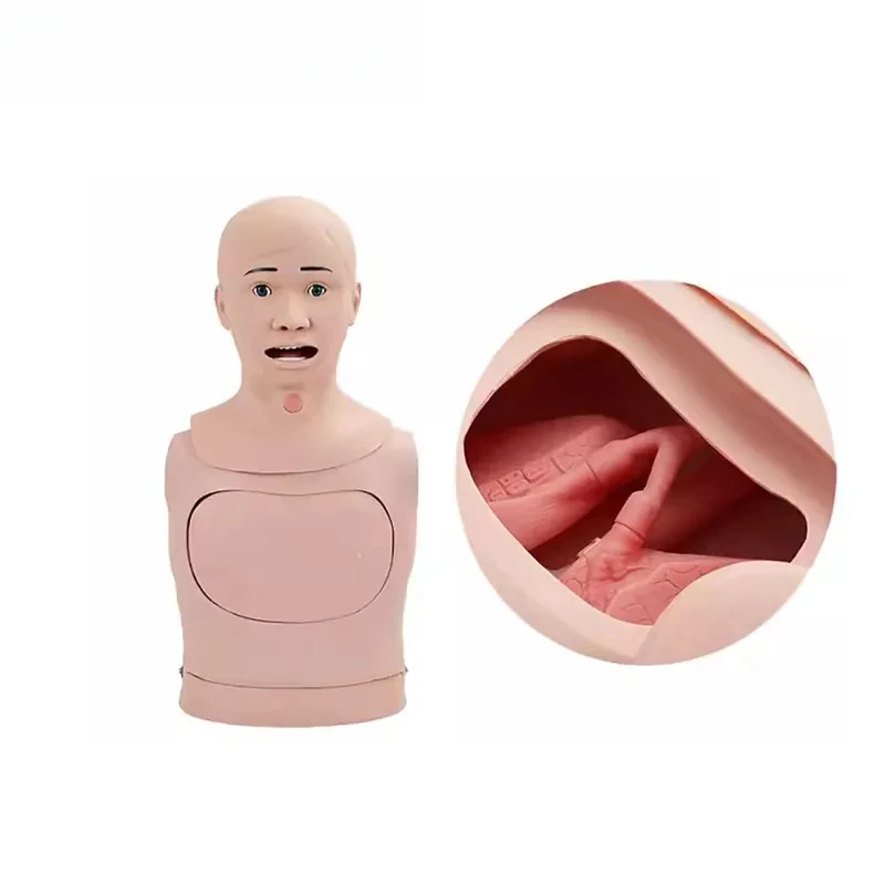 Nursing Model Of And Trachea Laryngeal Intubation Gastric Tube Nasogastric Feeding Puncture