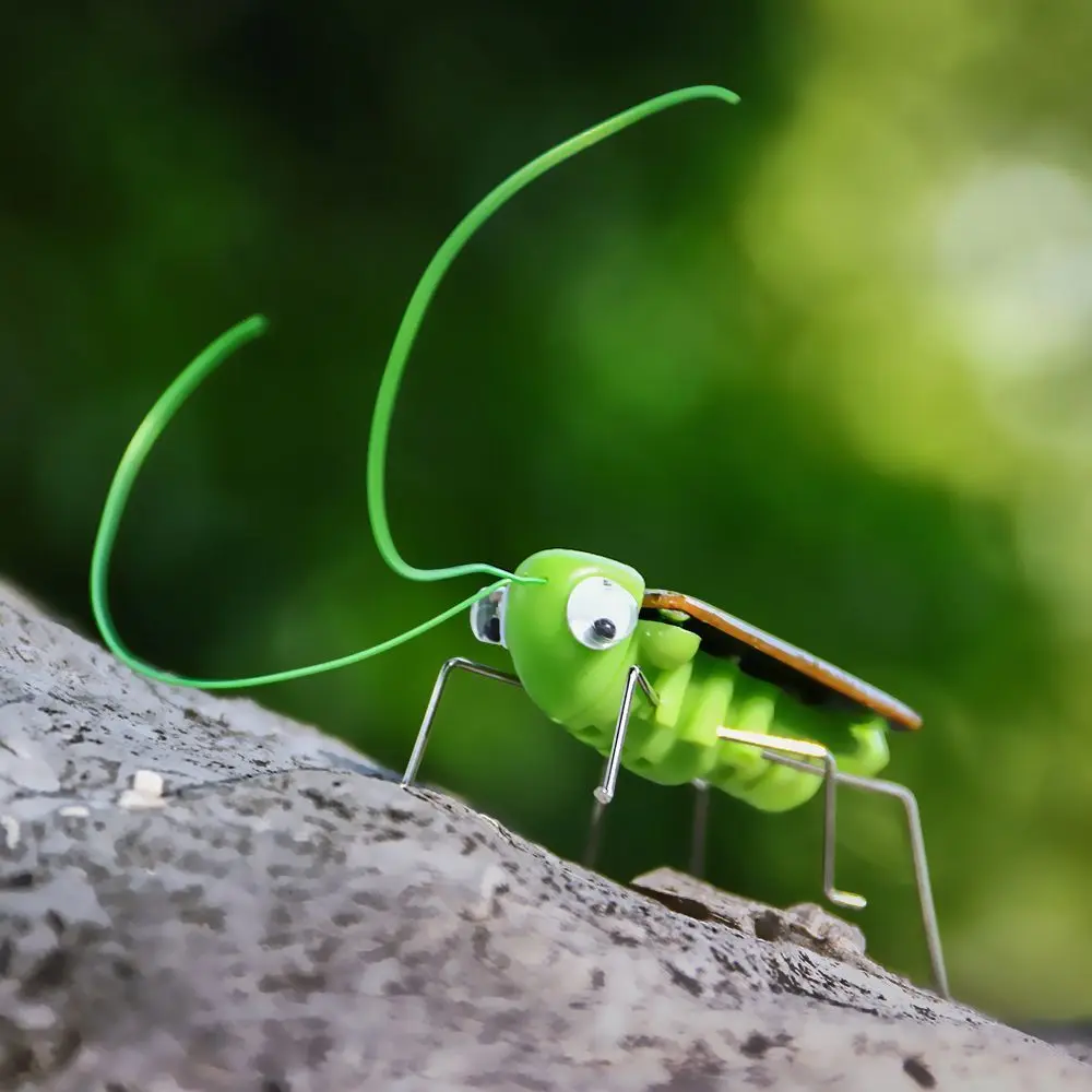 Mini Cricket Energía Insecto Aprendizaje Regalo Robot Insecto Solar Insecto