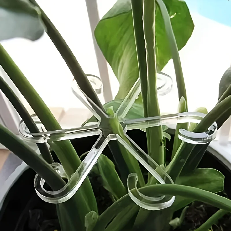 Clips de soporte para tallo de planta, marco de recolección de tallo de flor, fijador de soporte-antiapertura, estante para macetas de fijación de ramas hidropónicas, jardín