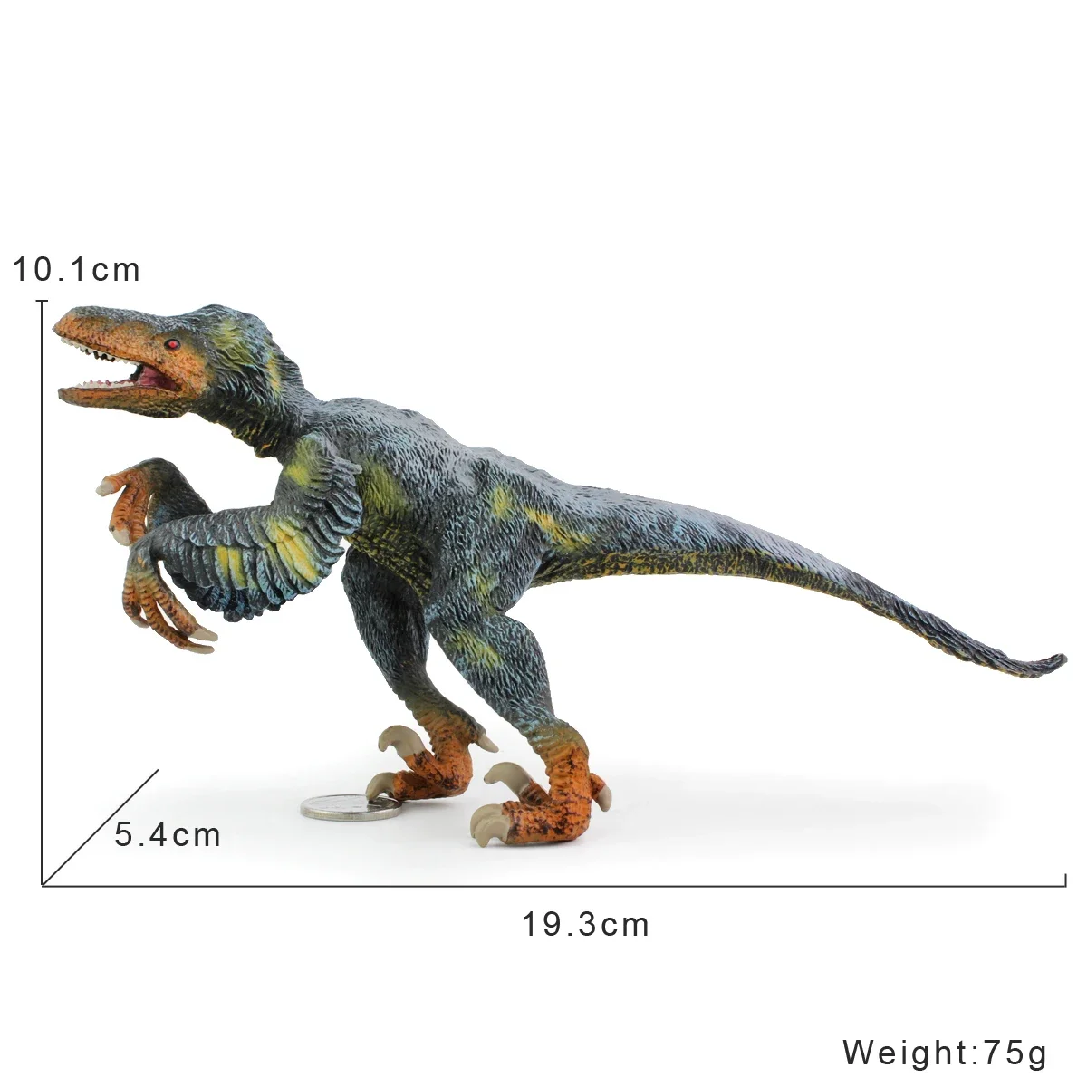 Jurajski dinozaur zabawki Utah Raptor solidna plastikowa imitacja zwierzęcia Model figurki prezent urodzinowy dla dzieci zabawka