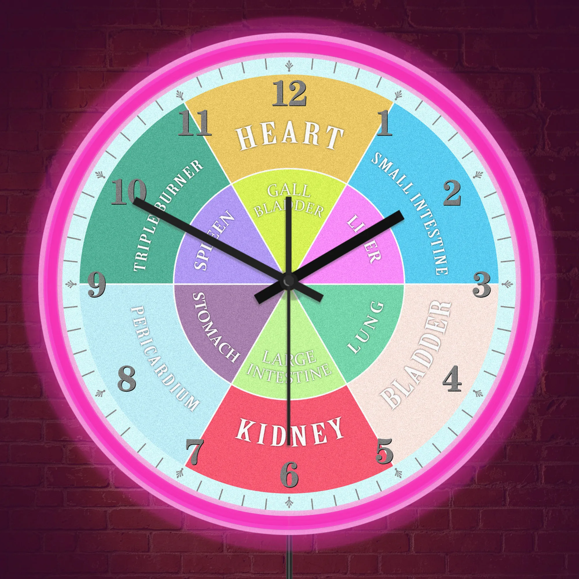 Traditional Chinese Medicine Organ Neon Wall Clock Body Energy Cycle Diagram Illuminated Sign Clock For Acupuncture Practitioner
