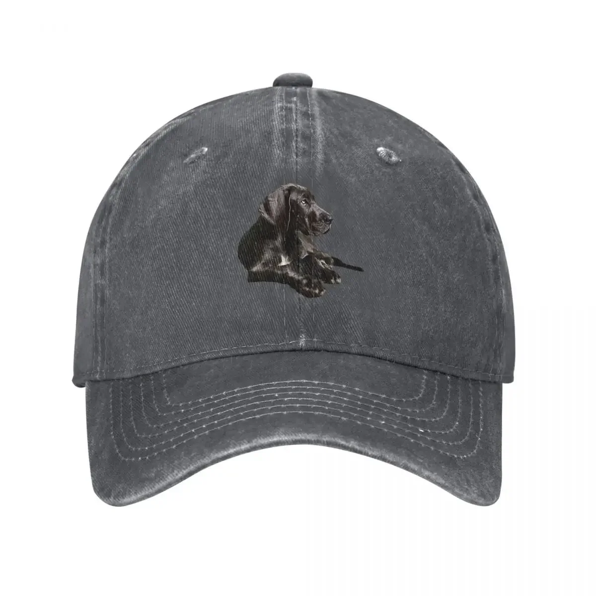 

Black Great Dane - Fantastic Beauty! Baseball Cap Hat Luxury Brand New In Hat Anime Hat Dropshipping Mens Caps Women's