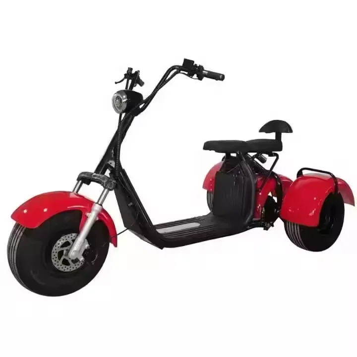 

Powerful Three Wheel 2000W/3000W Electric Tricycle EEC COC With Pedal Double Battery Two Seat Cargo Basket Citycoco Adult