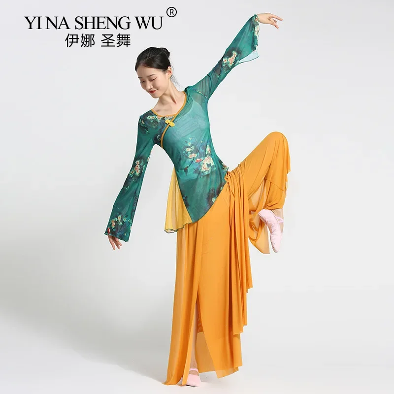 Klassisches chinesisches Tanzkostüm für Damen, elegantes Hanfu-Performance-Outfit, langärmelige Gaze-Bluse, Kunstprüfung, Trainingsstil, Top