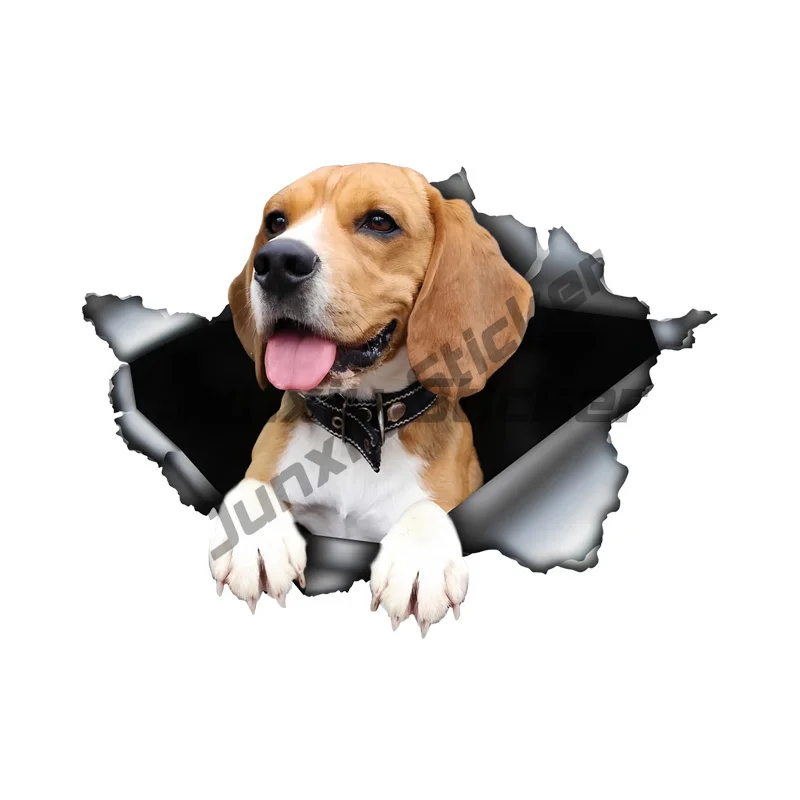 Cute Beagle in The Hole Creative Design Sticker, 1pc Funny Car Decal, Suitable for Cars, Trucks, Motorcycles, Walls