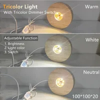 4~1PCS Wood Desktop Decorative Lights Switch 5V USB Remote Control Light Base Led Night Light Display Light Support DIY Ornament 3