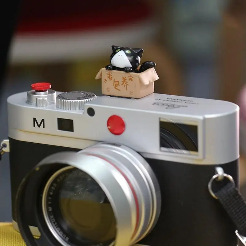 1pc Creative Cartoon for Single Reverse Cameras, Hot Shoe Protect Cover, Camera Flashlight, Flash Cover