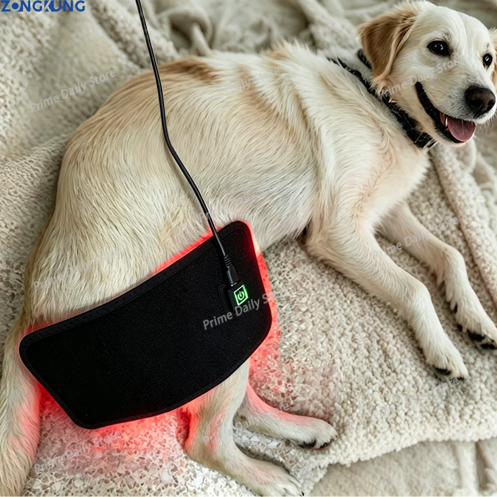 Veterinary‑Grade Red‑Light LED Pet Care Appliance, Canine Accessory for Discomfort Alleviation & Physical Well‑Being