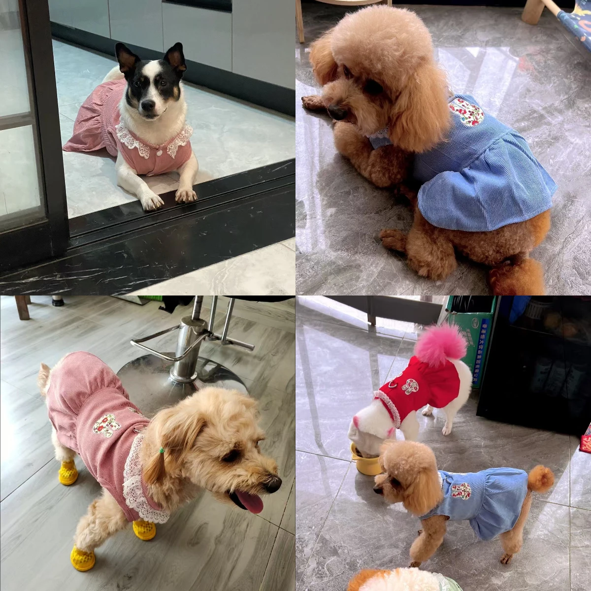 Thumbnail 4 - #31 Trending Pet Apparels Right Now