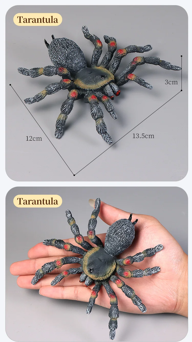 Pädagogische Insekten Spinne Spielzeug Zoo Action Figur Set Tier Welt Wissenschaft Kognitive Lernen Modell Simulation Dekor für Kinder – Detail 7