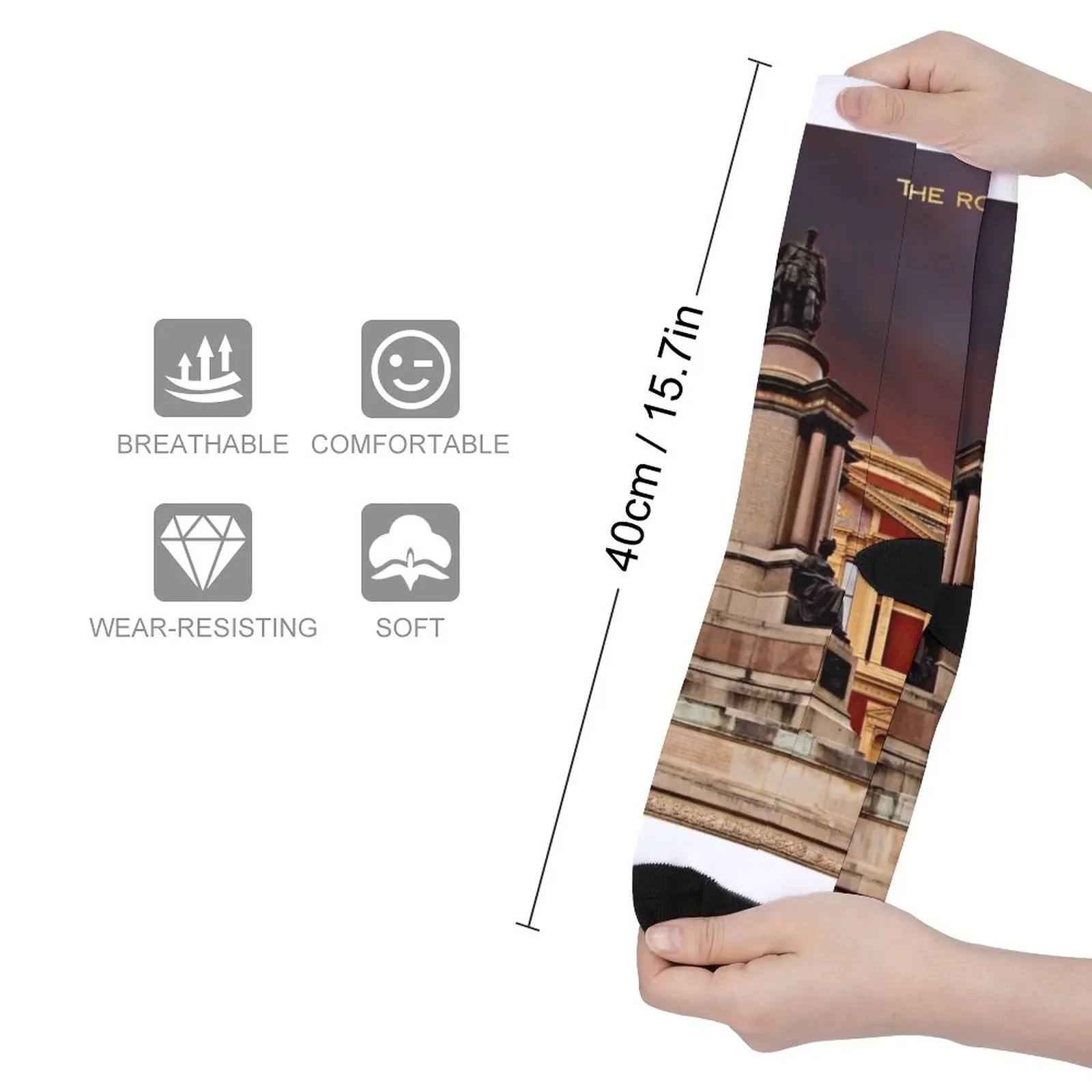 The Royal Albert Hall, London Socks Men's socks with print compression socks men Women's short socks