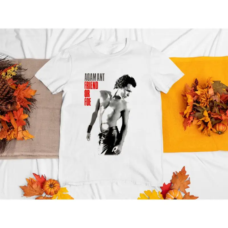 Adam Ant Friend Or …