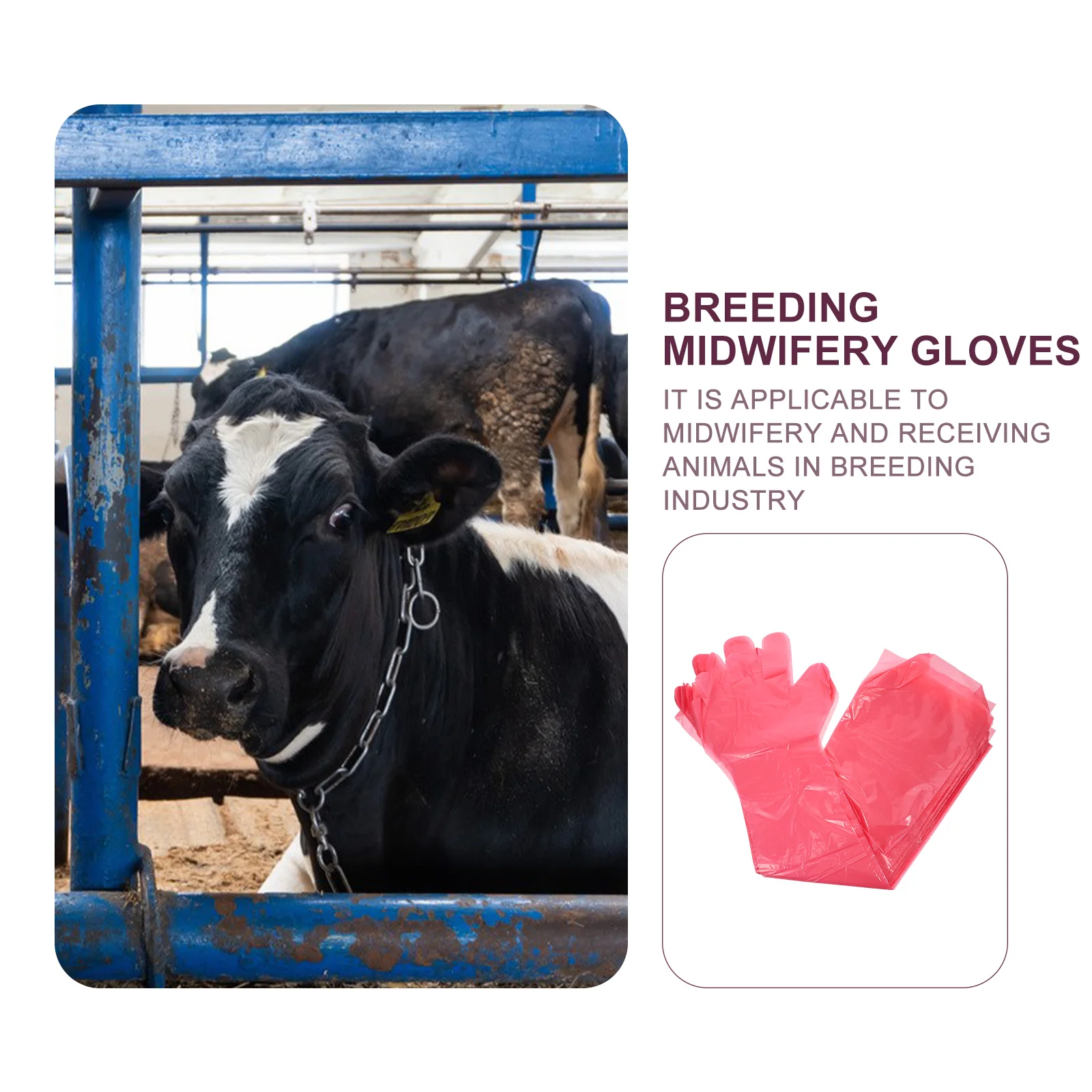 50 Pcs Midwifery Gloves Work Arm Warmers Sheep Delivering The Mitten Mittens Covered Veterinary