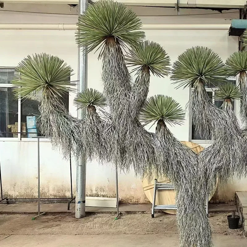 2026 Outdoor Garden Decor Artificial Tree Plastic Material Tree for Home Hotel Decoration for Garden Patio or Indoor Use