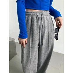 Solid Drawstring Sweat Pants Women's Loose Casual Elastic Waist Hanging Feeling Wide Leg Pants