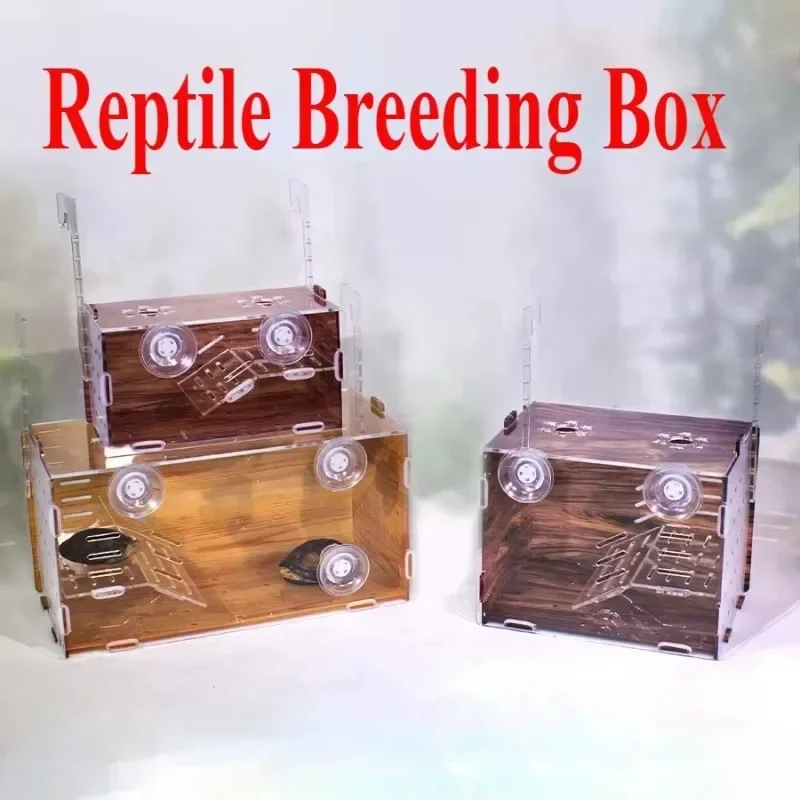 Reptile Supplies Acrylic Transparent Feeding Box Reptile Breeding Boxes Climbing Pet Anti-escape Terrariums for Turtles Lizards