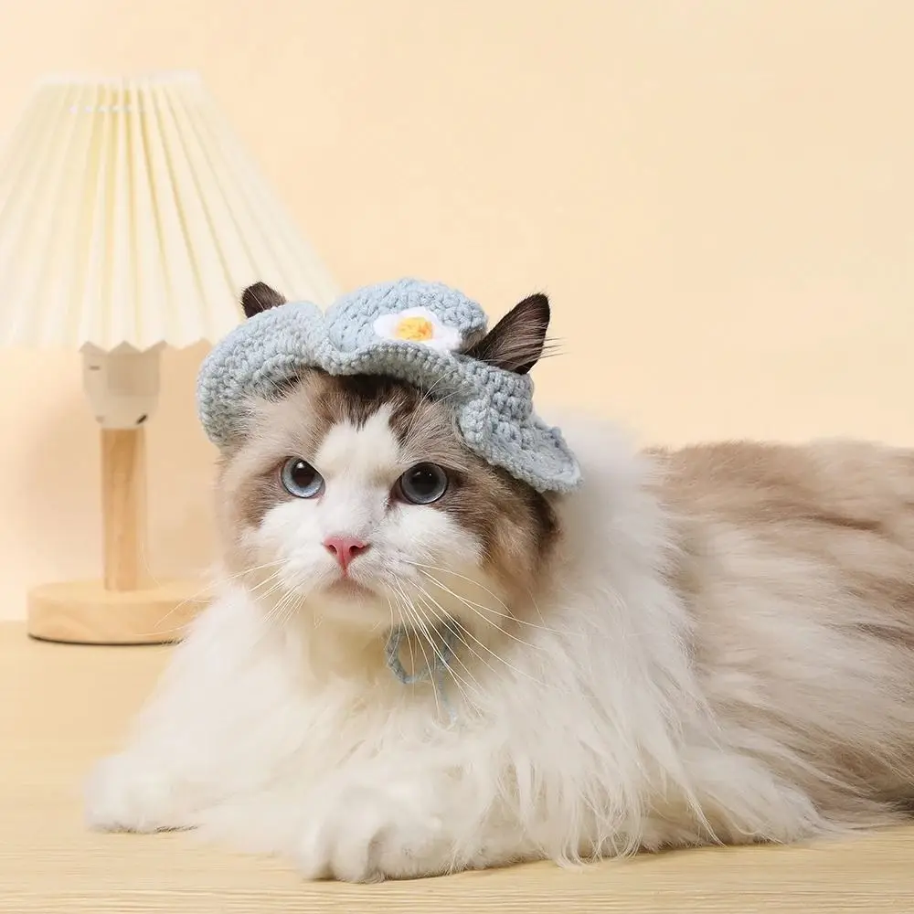 Cartoon Cat Hat Autumn Winter Cute Refined Kittens Knitted Hat Elastic Party Photo Shoot Props