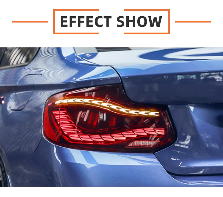 MJ für F22 Rücklicht 2014-2020 F23 F87 Upgrade OLED Rücklicht Dragon Scale LED F22 Rücklicht Rückleuchte