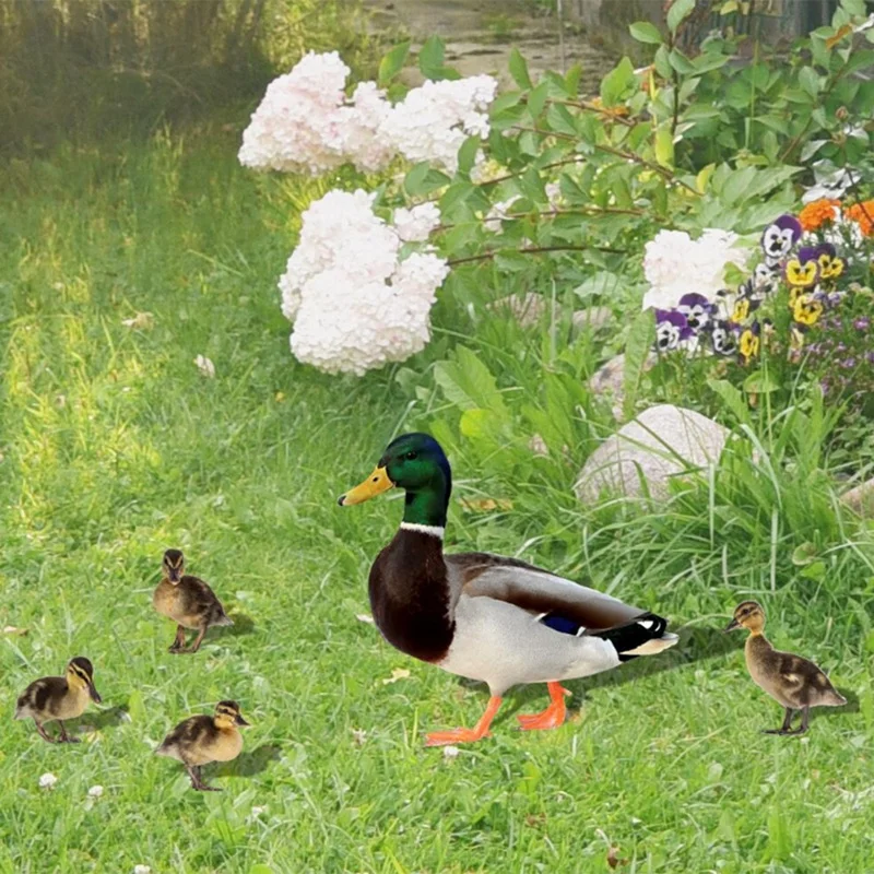 Garden Decoration Acrylic Duck Garden Stake Funny Spring Decoration Outdoor Duck Ornament Animal Garden Decorations