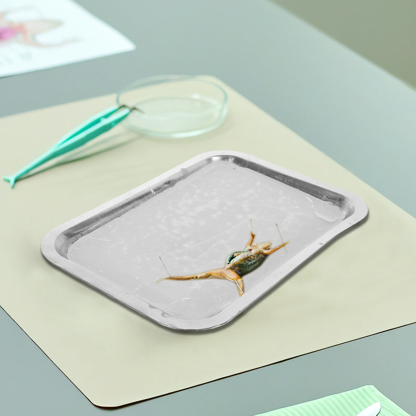 

3Pcs Biological Laboratory Dissection Tray with Wax Surface Stainless Steel Construction Perfect for Science Classroom Education