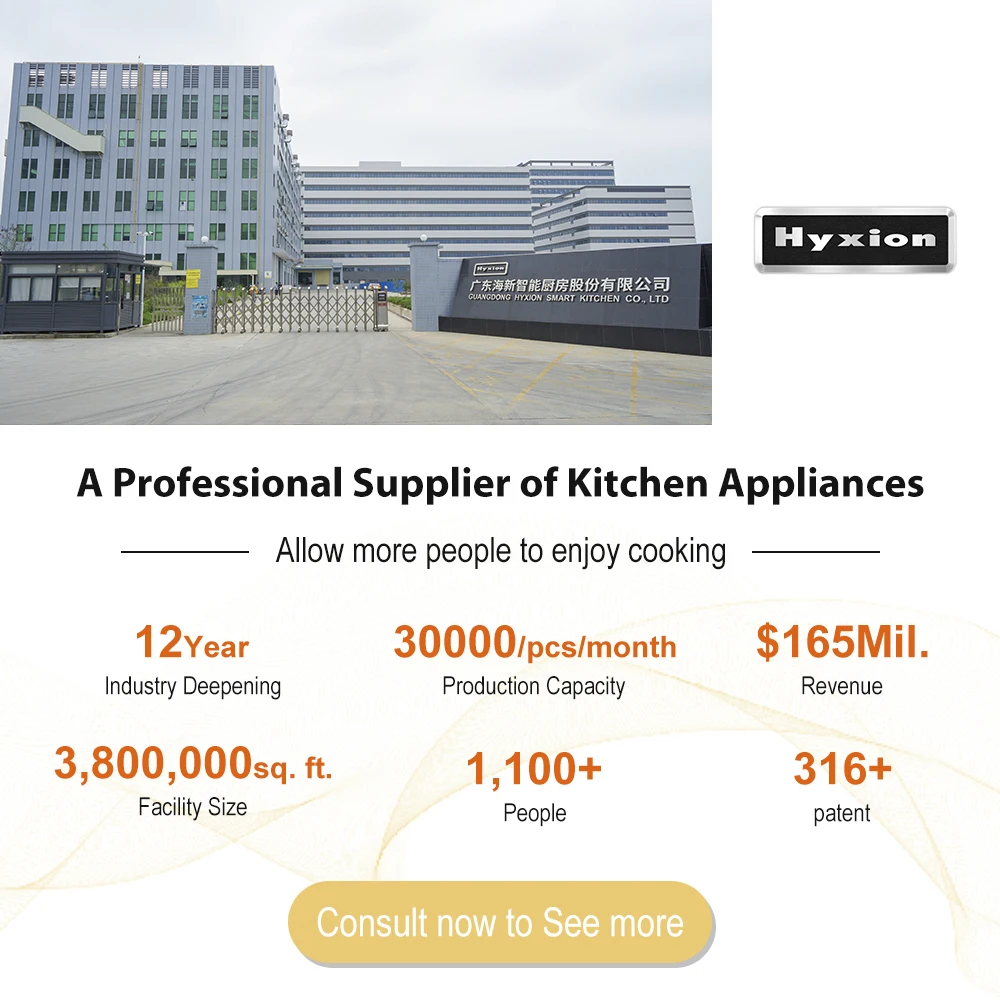 Hyxion Smart Kitchen Appliances ECO Built In 45cm Integrated Guangdong Washing Machine Dishwasher