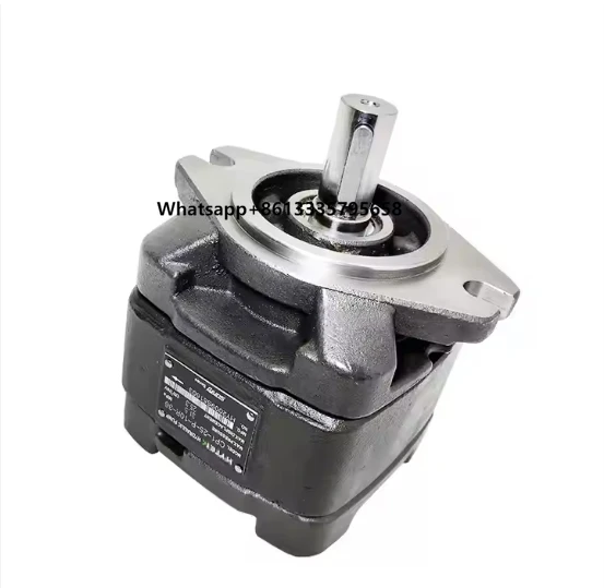 

China Oil Pump Manufacturer Sells Internal Gear Pump for Molding Machine
