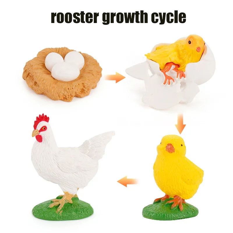 Animal Life Cycle Board Kinderspeelgoed Montessori Leermiddelen Plant Animal Growth Cycle Model Set voorschoolse cognitieve speelgoed