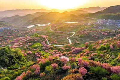 

4pcs 1.0" Metal Beadlock Wheel Tire Set For 1/18 RC Crawler Car TRX4M SCX24 Upgrade Parts Accessories