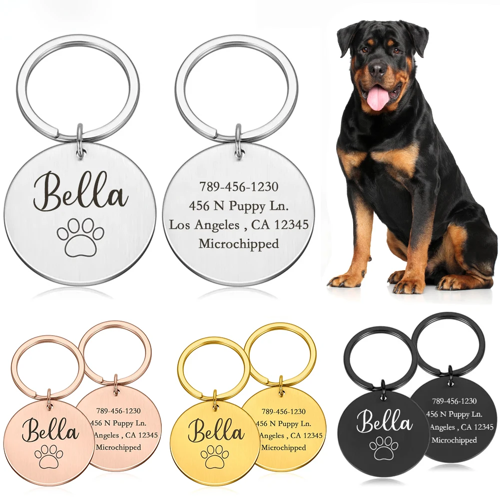 Personalized Dog Collar Address ID Tags for Dogs Medal with Engraving Name Customizable Kitten Puppy Accessories Necklace Chain