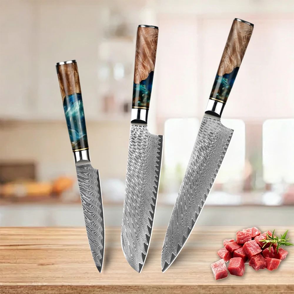 3Pcs Kitchen Chef Knives 67 Layers Damascus Steel VG10 High Carbon Steel Blue Resin Wood Handle Cooking Tool Set Utility Knife