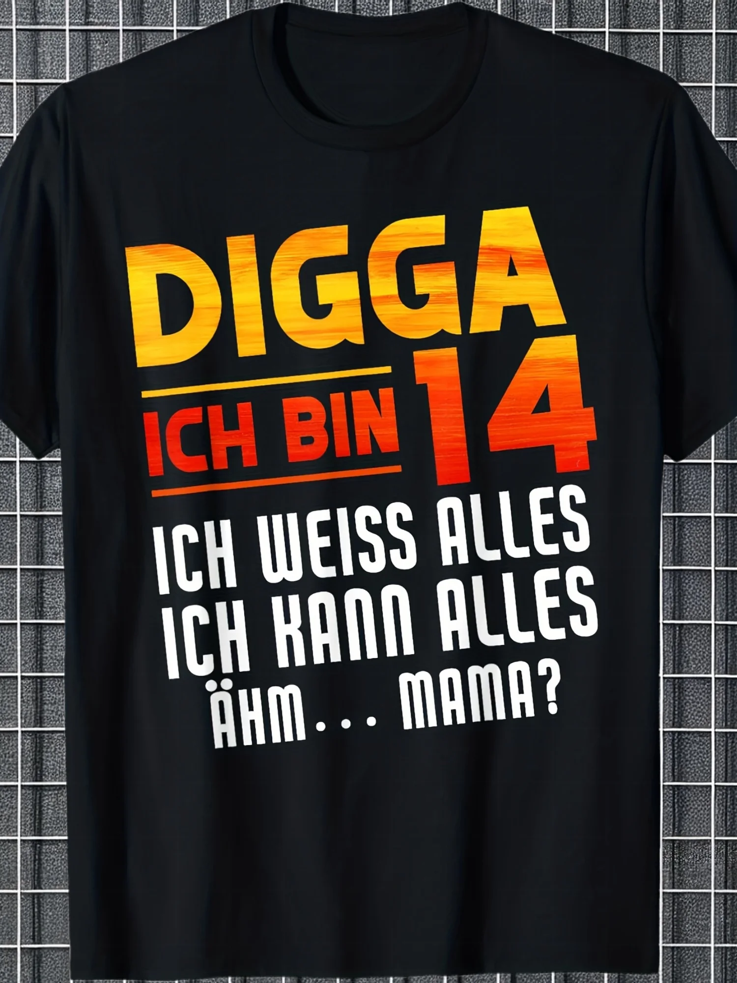 Men's Funny German Birthday Saying T Shirt Digga Ich Bin 14 Ich Weiss Alles(I'm 14 I Know Everything) 2010 Vintage Tee for Teens